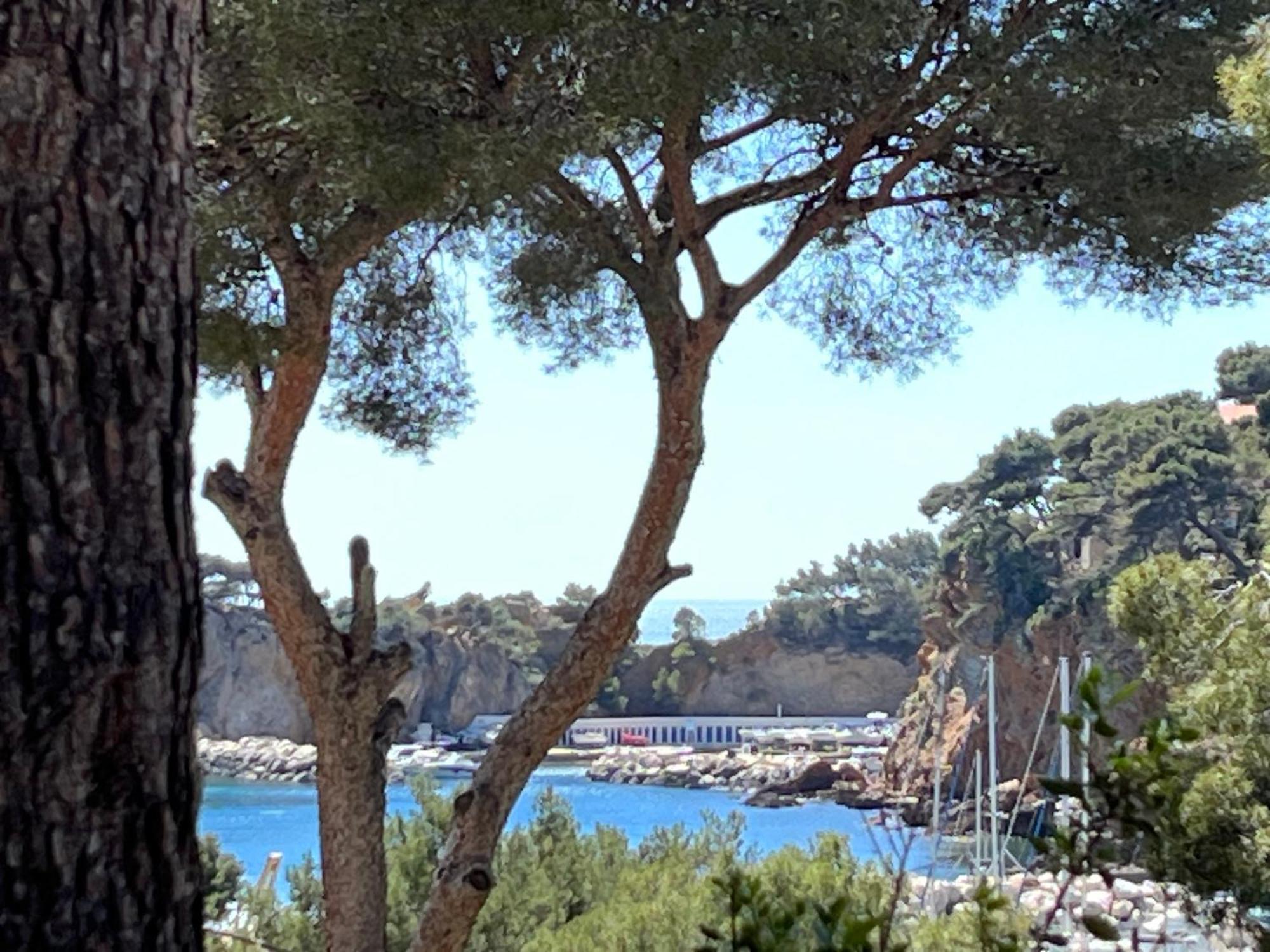 La Casa Calanquaise - Mer A 250M Accessible A Pied - T2 Spacieux Independant - Terrasse Ombragee 昂叙埃拉雷东 外观 照片